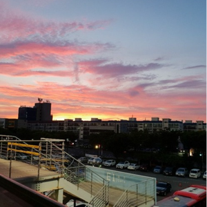 가짜진심(가식)