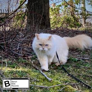 Safe House (feat. Fiorious, Zephyr & StutterGod)