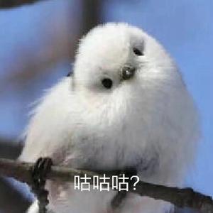 牵丝戏