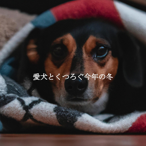 Energetic Backdrops for Loose Relaxation