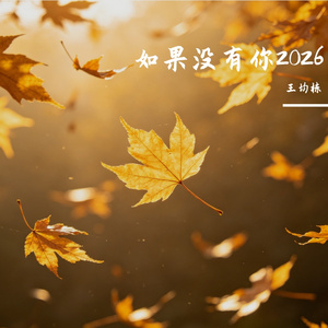 如果没有你