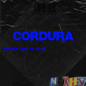 Cordura