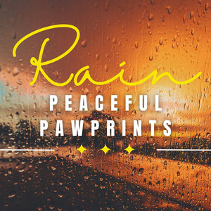Raindrop Pet Serenade