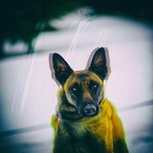 Vijadukt (feat Lemi)