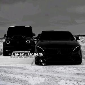 Шанель модель
