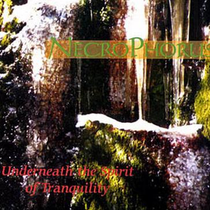 Femmes Aux Têtes Des Fleurs Retrouvant Sur La Plage Le Dépouill D'Un Piano À Queue