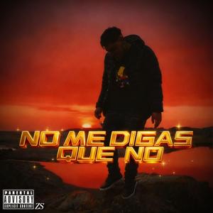 NO ME DIGAS K NO