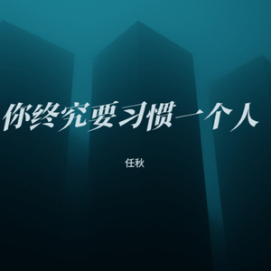 你终究要习惯一个人