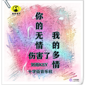 你的无情伤害了我的多情