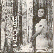 홍콩의블루스
