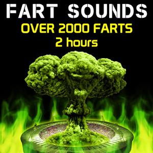 Fart Sounds - Over 2000 Farts 2 Hours