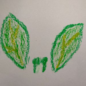 禁闭的门扉