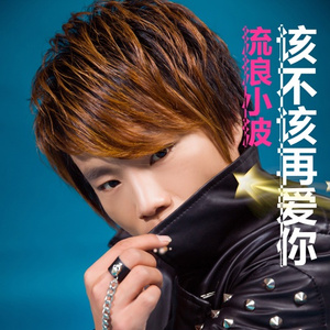 该不该再爱你 (伴奏)