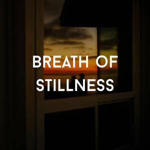 In the Quiet of the Night