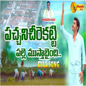 Pacchani Cheerakatti Village New Folk Song 2024