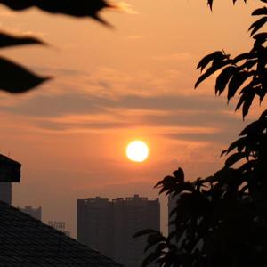 今天也想见到你