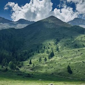 无人处的光芒独放