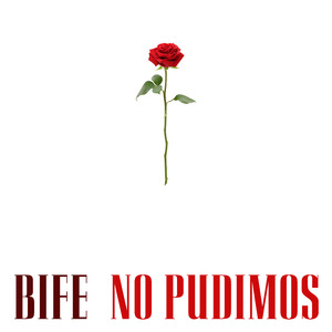 No Pudimos