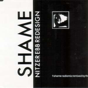 Shame (Radiomix By Flood)