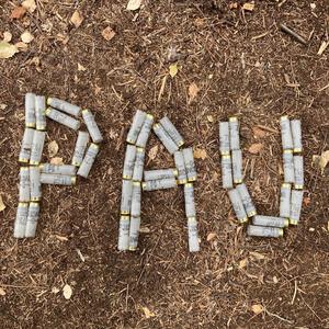 Poole Harbour Freestyle