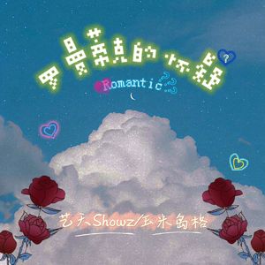 罗曼蒂克的怀疑