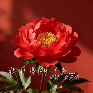 牡丹亭外