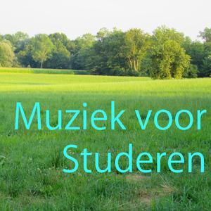 Muziek voor Studeren Vol. 1