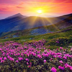 战疫--致敬逆行者