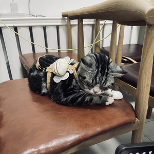 摆脱.Prod by SamOneFour