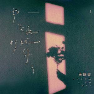 我不再打扰你了 (DJEva版伴奏)