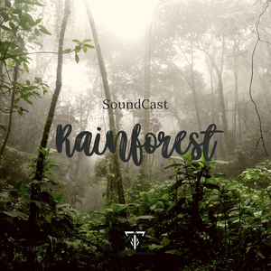 Rainforest