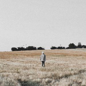 This Feels Like a Dream