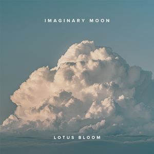 Lotus Bloom (Meditation)