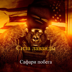 Безмятежное дыхание