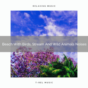 Birds Songs For Deep Sleep Composed By Mother Earth