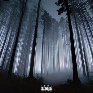 THE CONCEPT (feat. Nohzat Naqibullah & SB Glock)