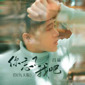 你忘了我吧 (DJ九天版)