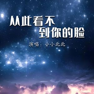 从此看不到你的脸