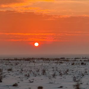 阿尔泰的冬（demo）