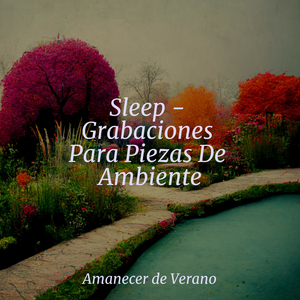 Ondas Suaves de Tranquilidad