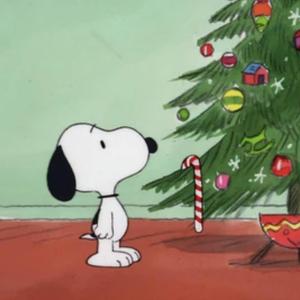 theres coal in my stocking