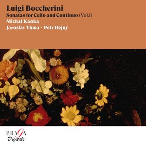 Sonata No. 8 in B-Flat Major, G. 8: I. Allegro