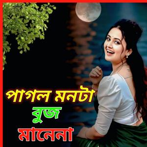 পাগল মনটা বুজ মানেনা