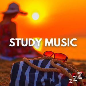 See, You Can Study by The Sea