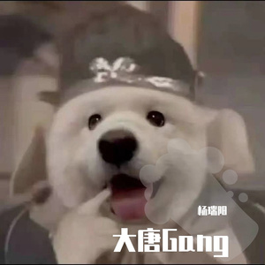 大唐Gang（翻自 杨瑞阳）
