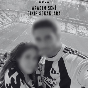 Aradım Seni Çıkıp Sokaklara