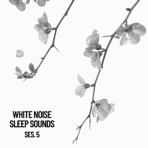 Clean White Noise