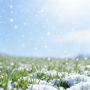 夏雪 (Cover 飞轮海 (Fahrenheit))