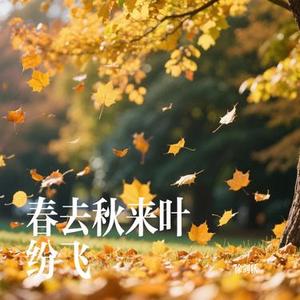 春去秋来叶纷飞
