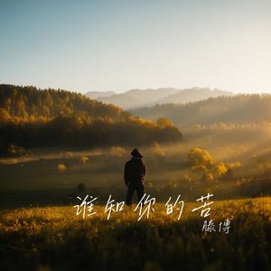 谁知你的苦